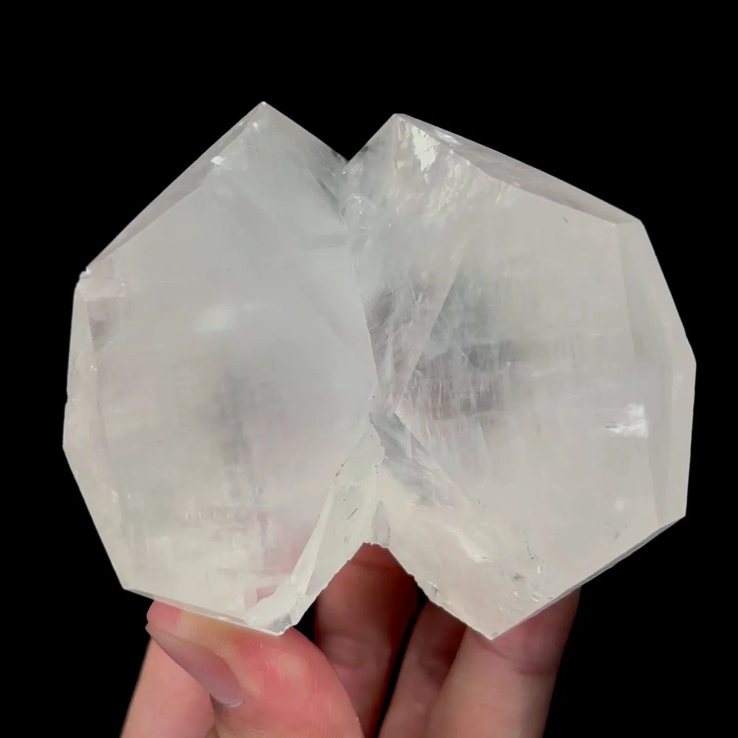 specimen video