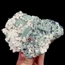 specimen video