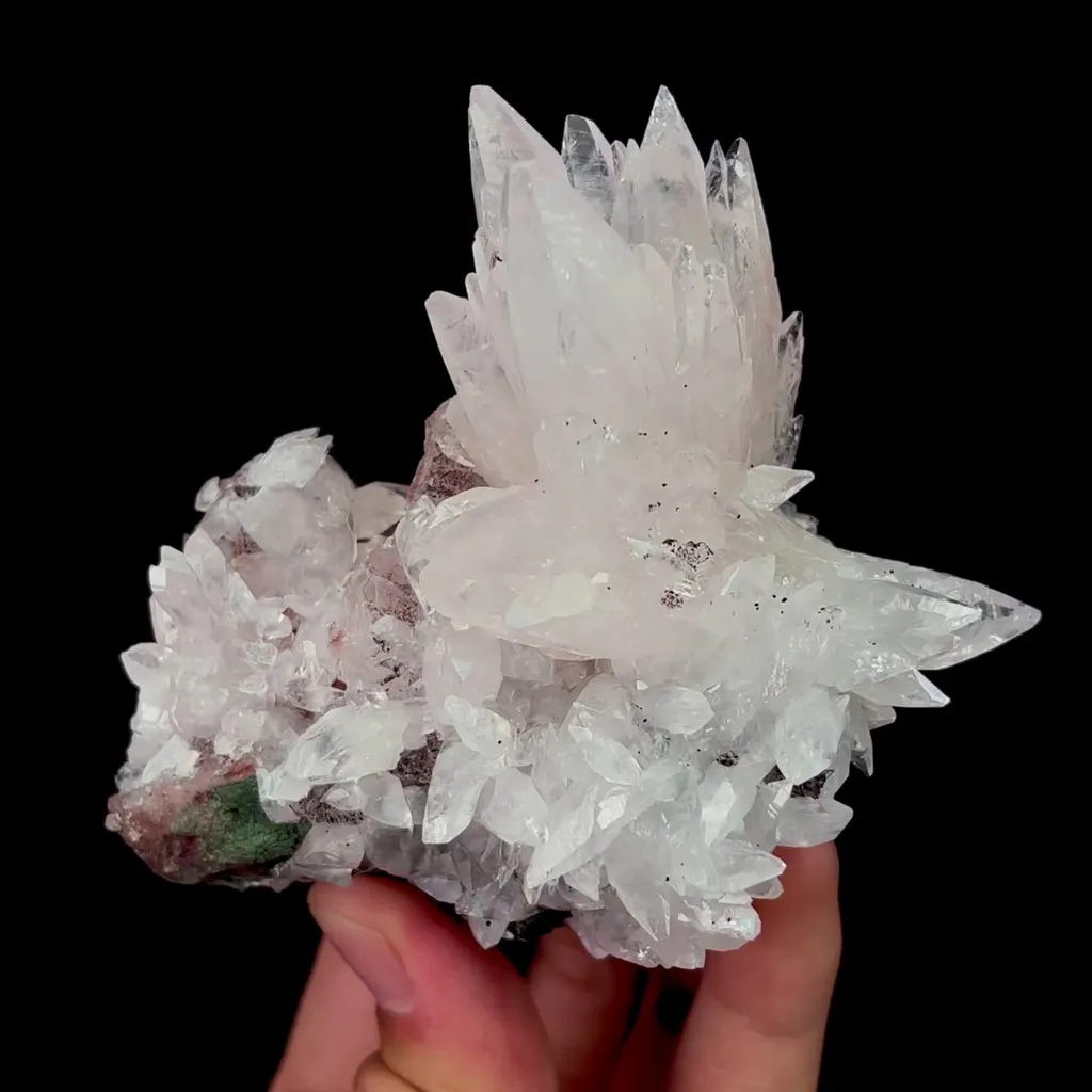 specimen video