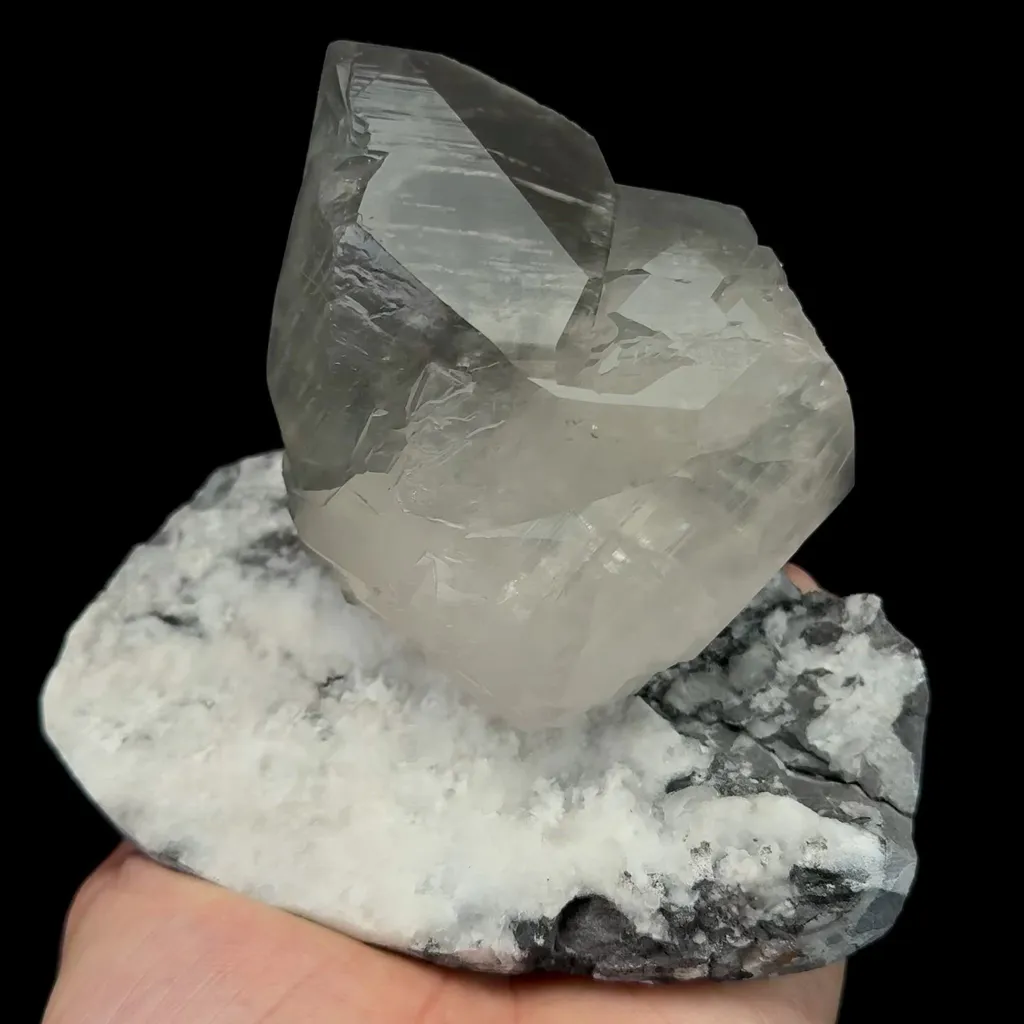 specimen video