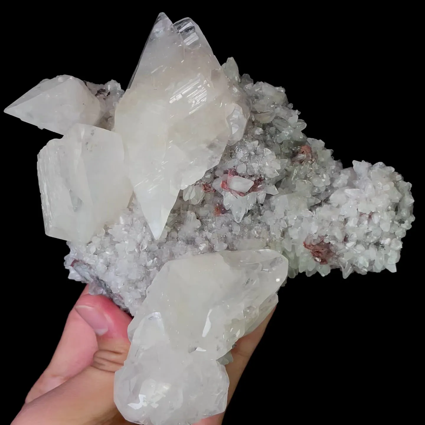 specimen video