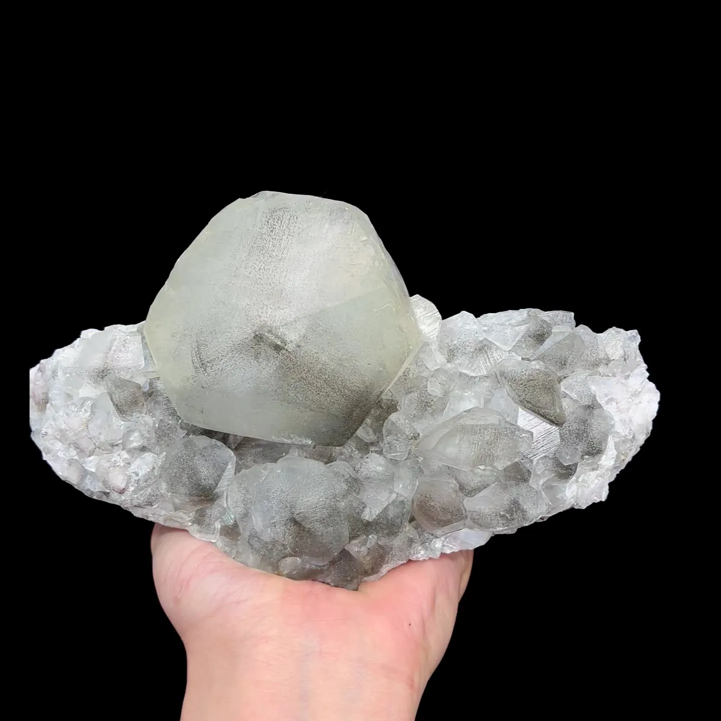 specimen video