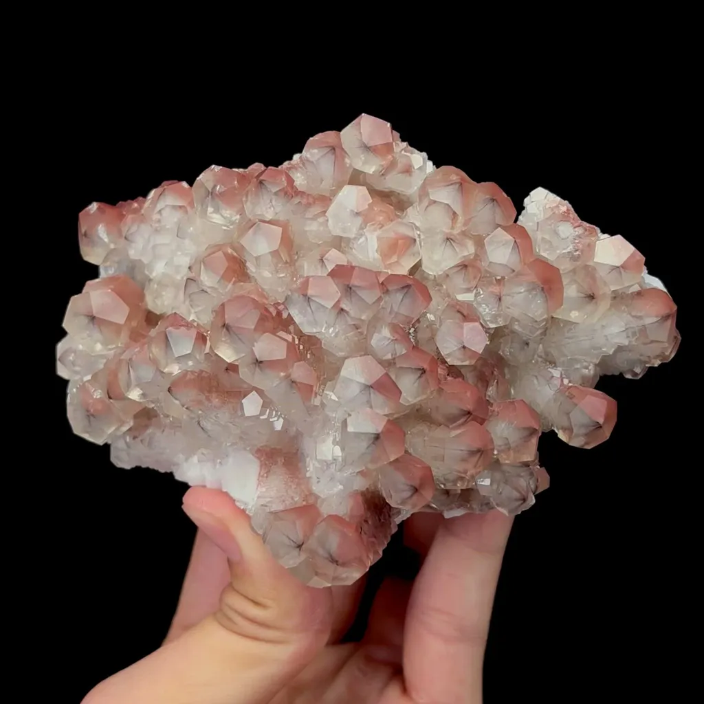 specimen video