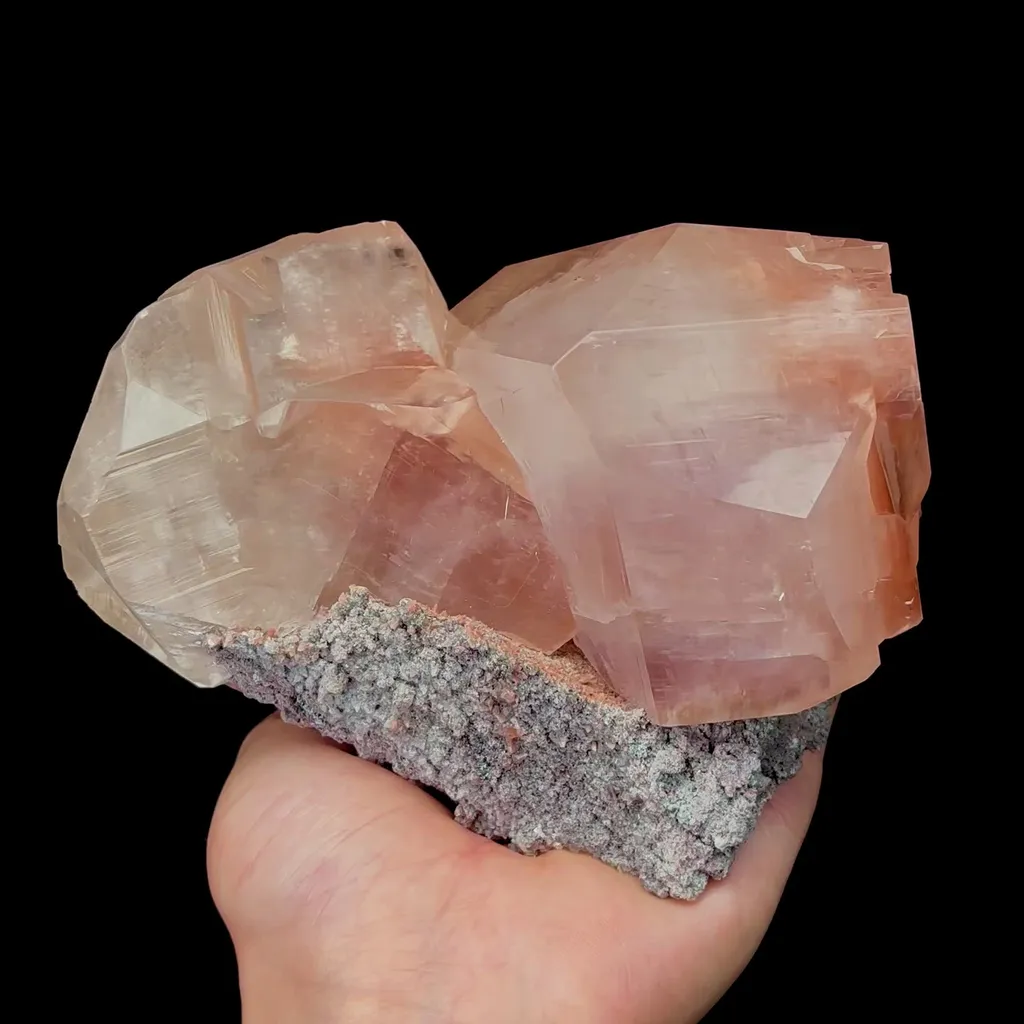 specimen video