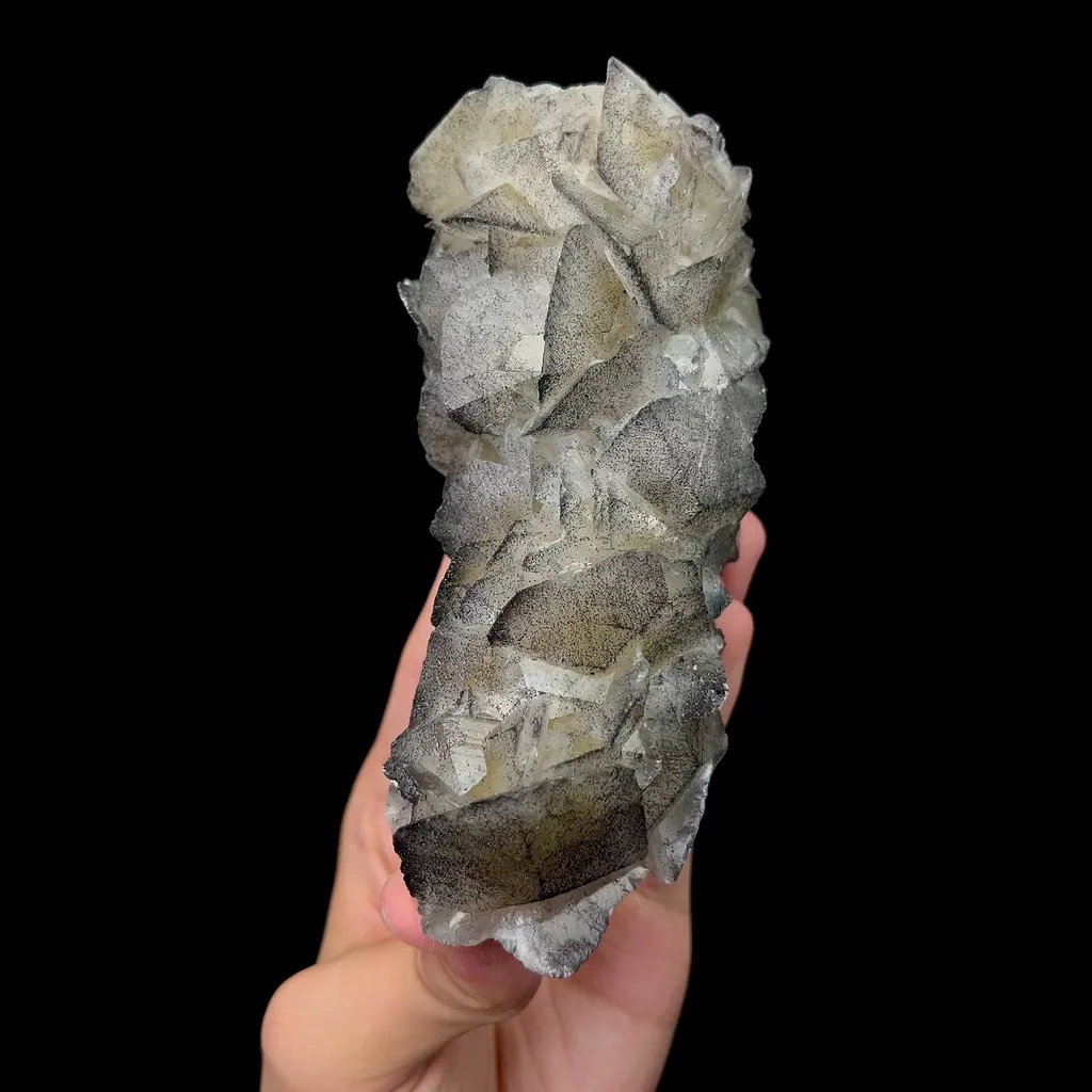 specimen video