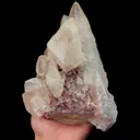 specimen video