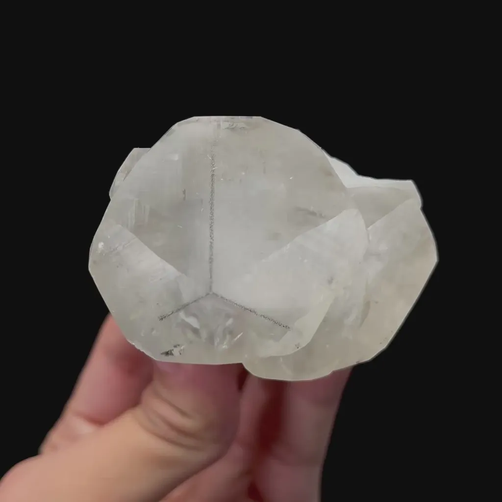 specimen video