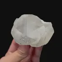 specimen video