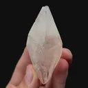 specimen video