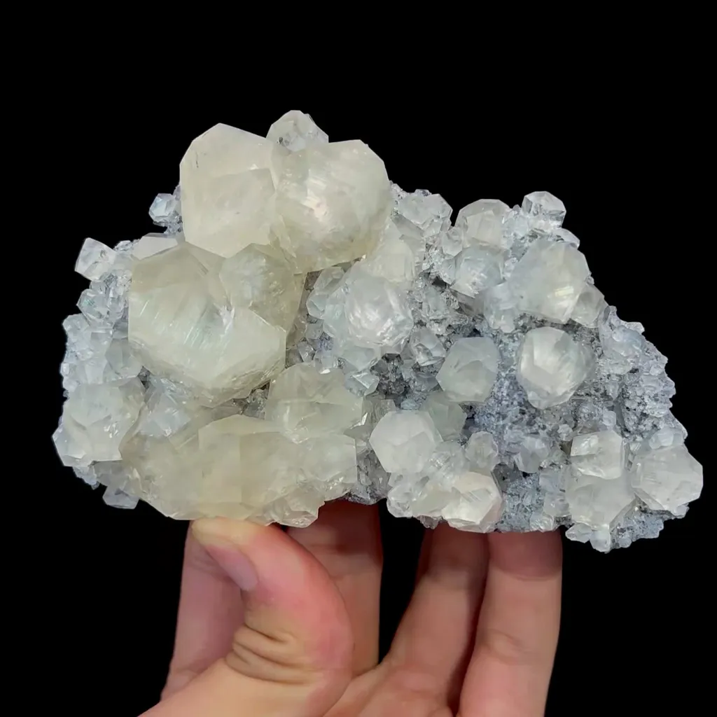 specimen video