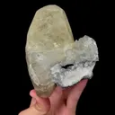 specimen video