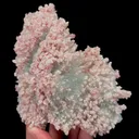 specimen video