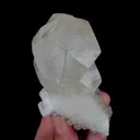 specimen video