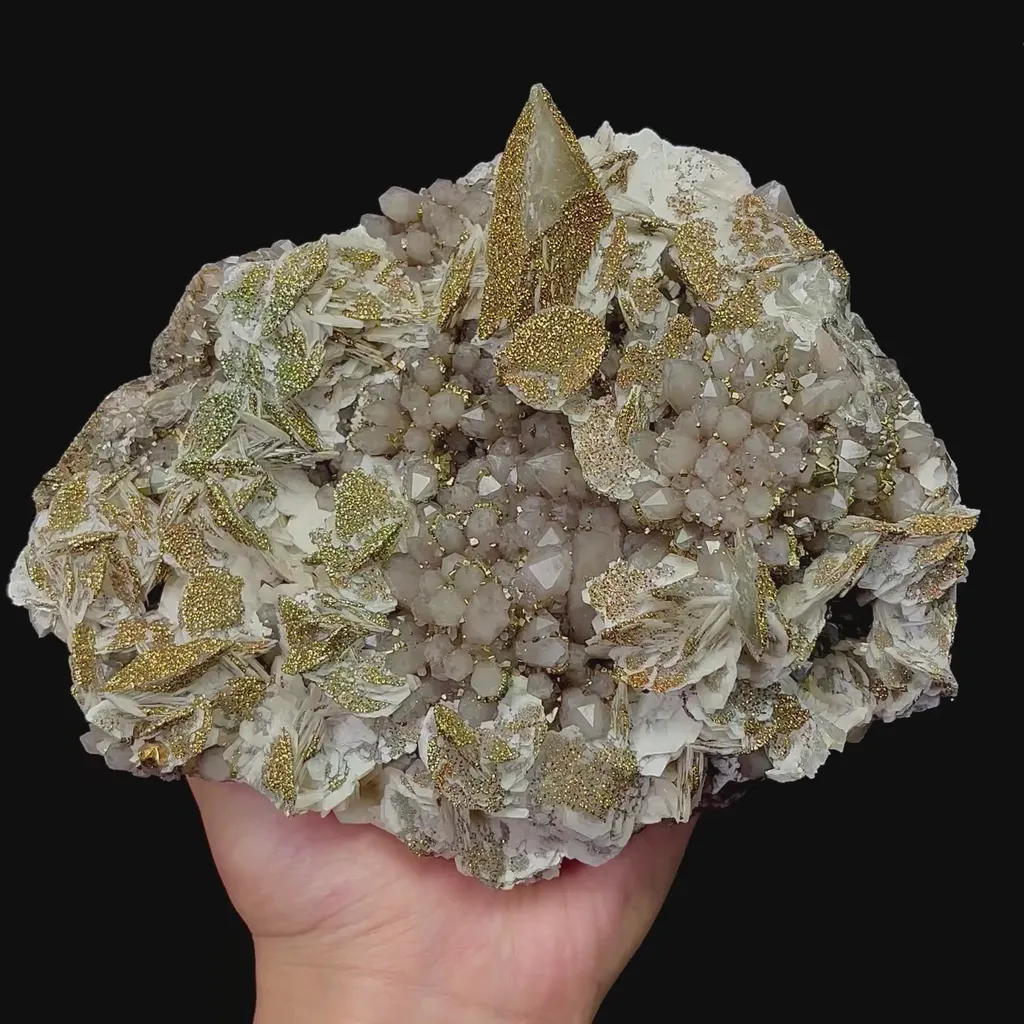 specimen video