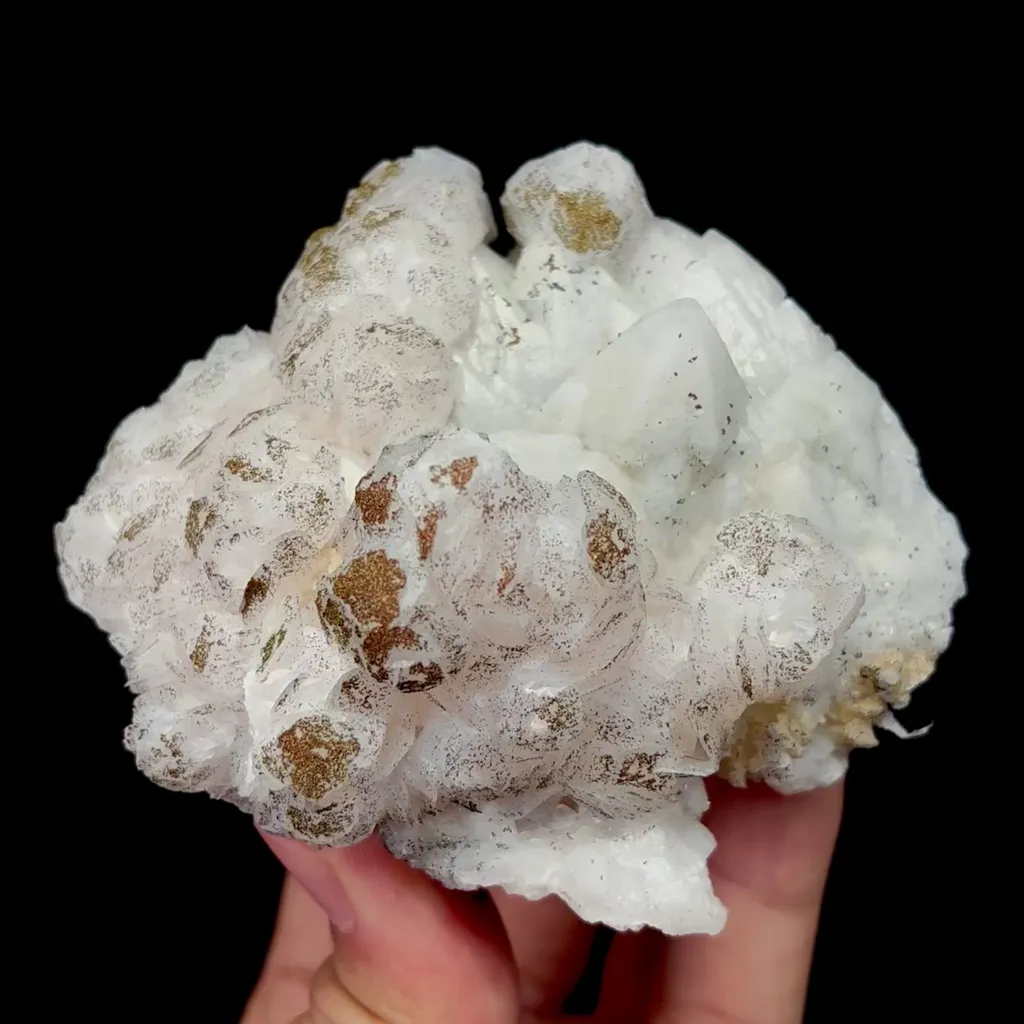 specimen video