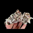 Natural Calcite, Pyrite, Dolomite, and Red Quartz, Mineral Specimen:Daye,Hubei (110*60*35MM) - image 7