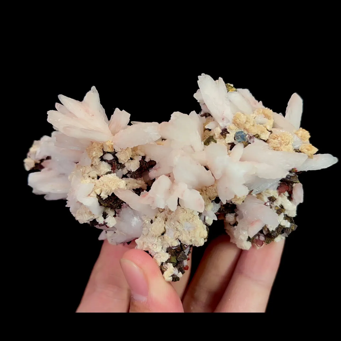 specimen video
