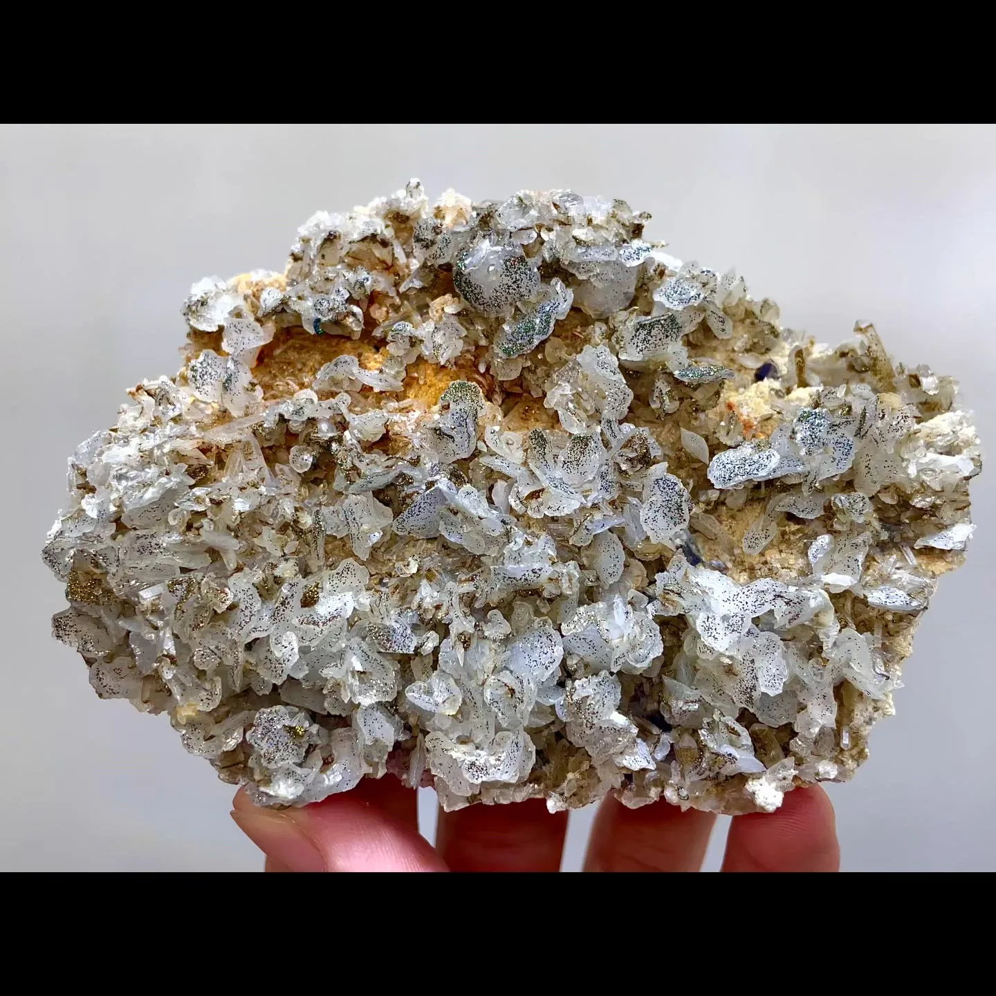 specimen video