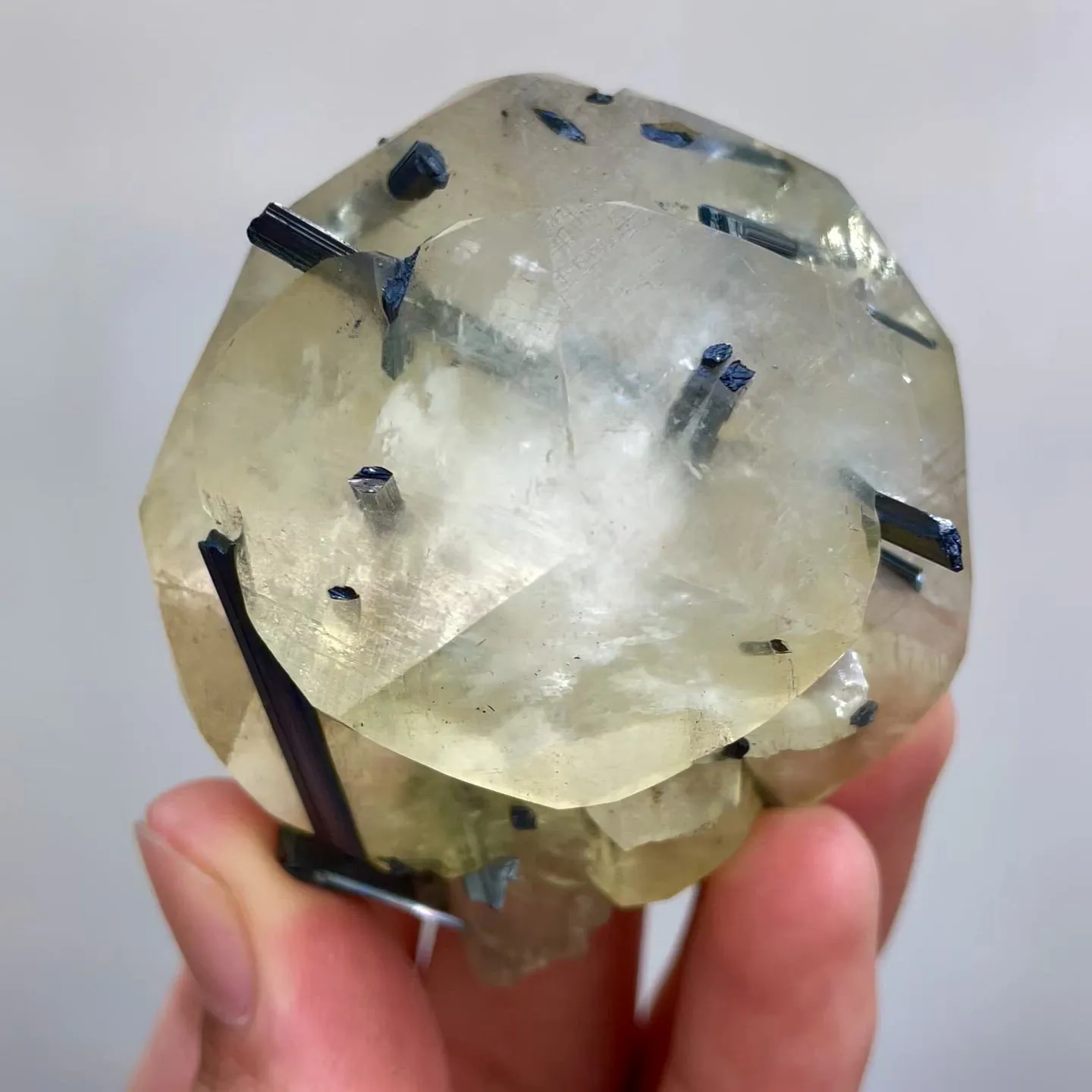 specimen video