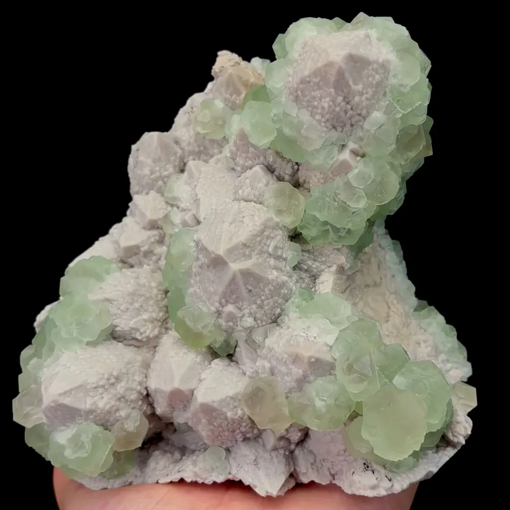 specimen video
