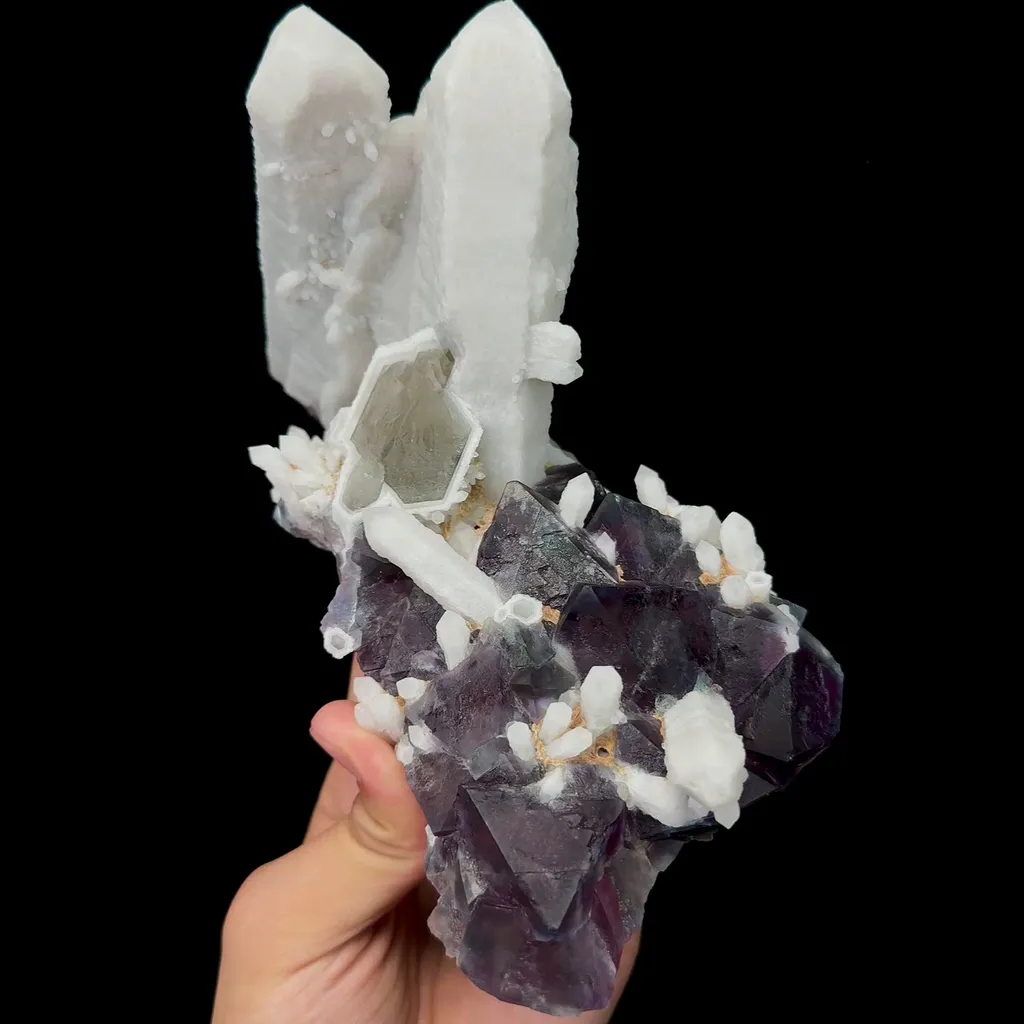 specimen video