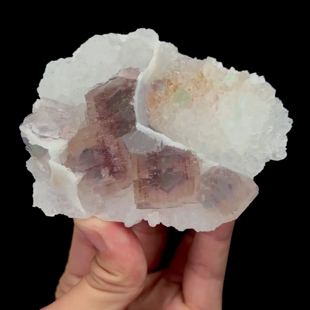 specimen video