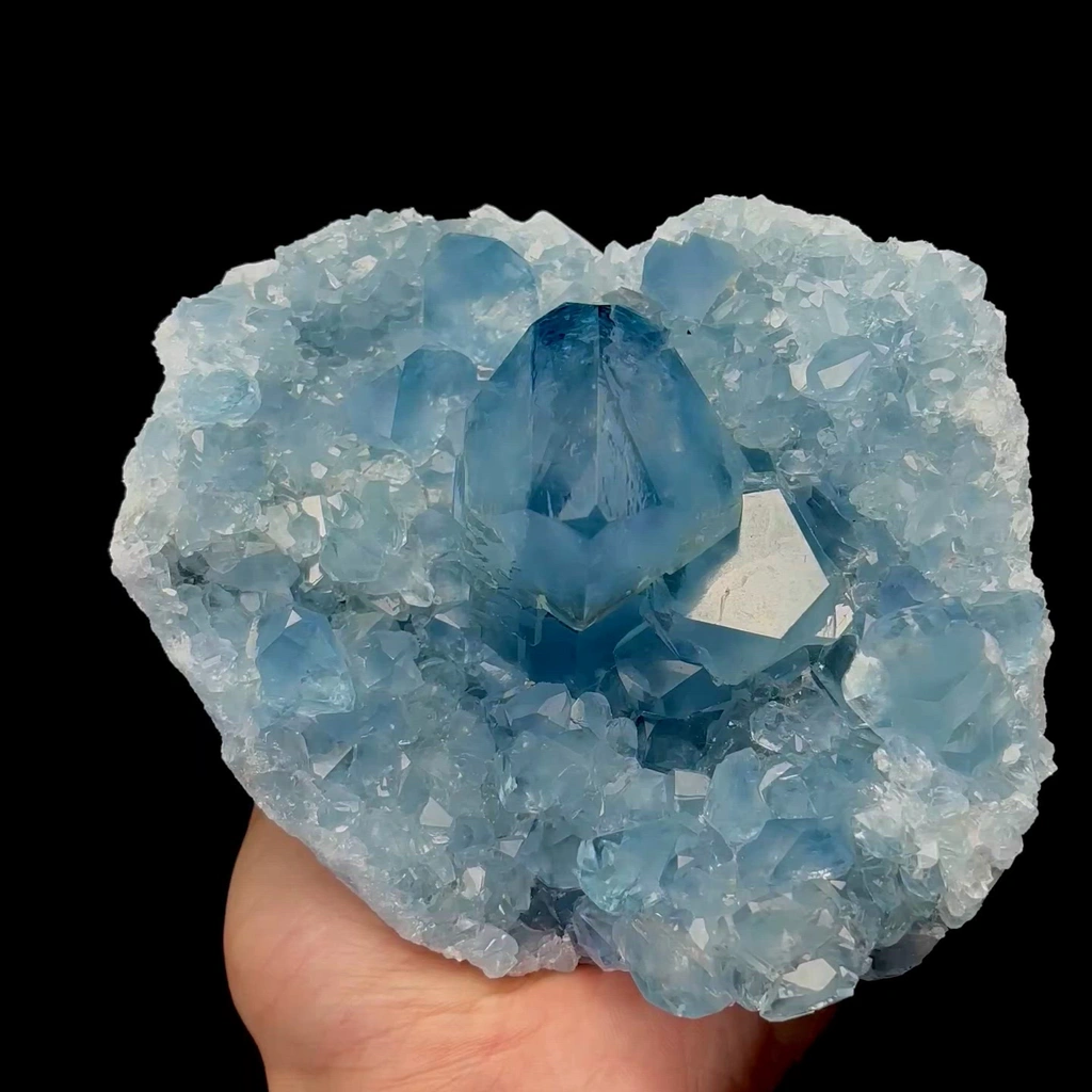specimen video