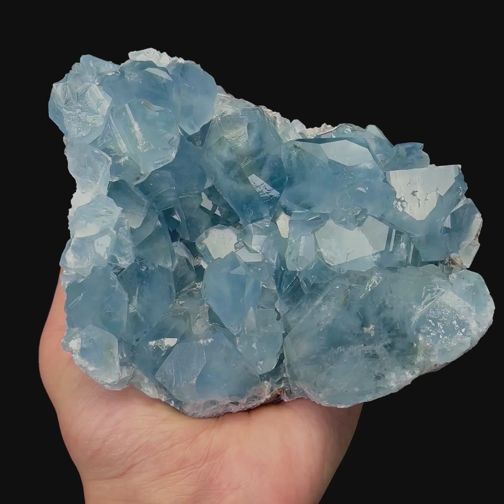 specimen video