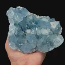 specimen video