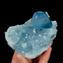 specimen video