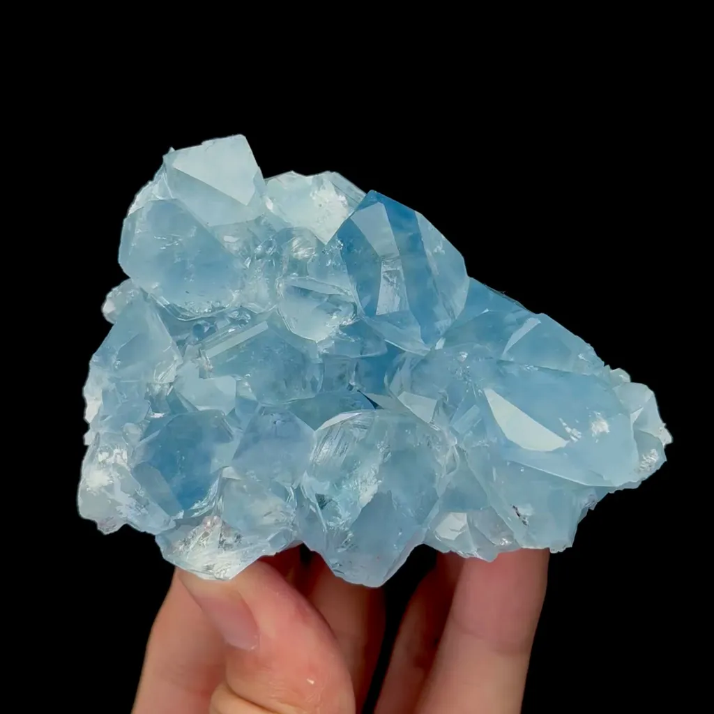 specimen video
