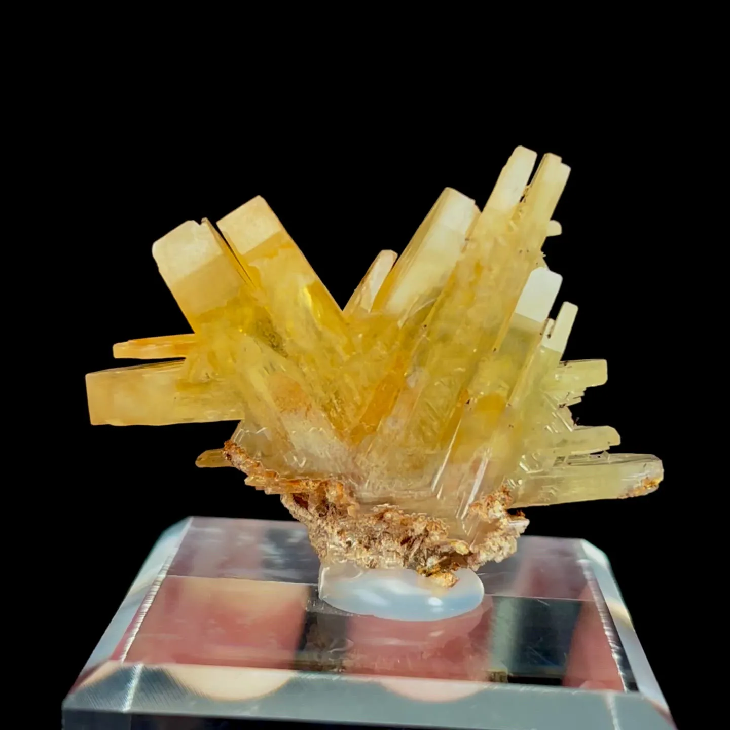 specimen video
