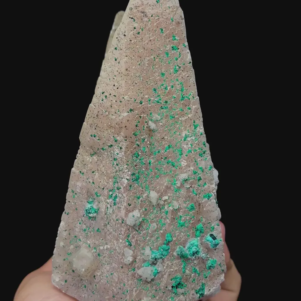 specimen video