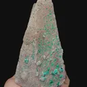 specimen video