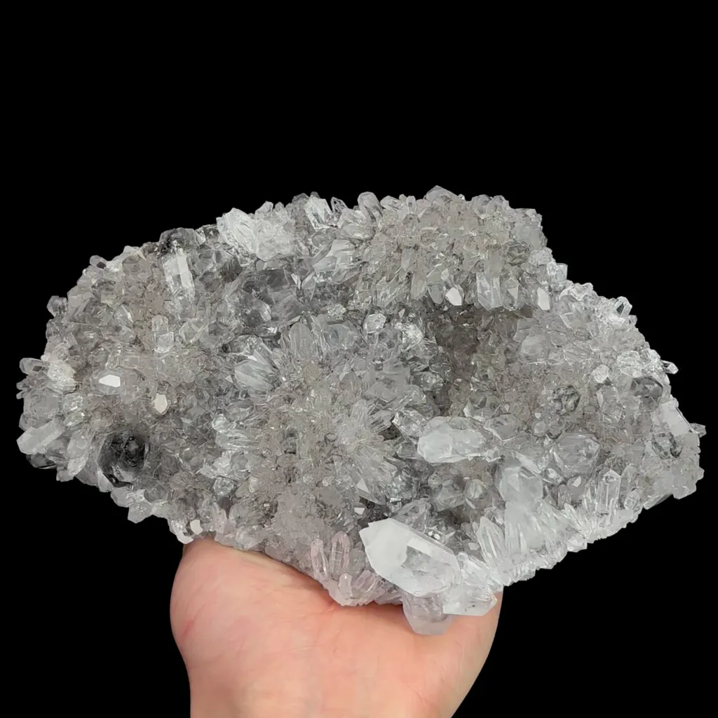 specimen video