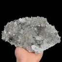 specimen video
