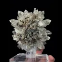 Natural Chrysanthemum Stone Quartz, Mineral Specimen: Sichuan,China (75*65*80MM) - image 4