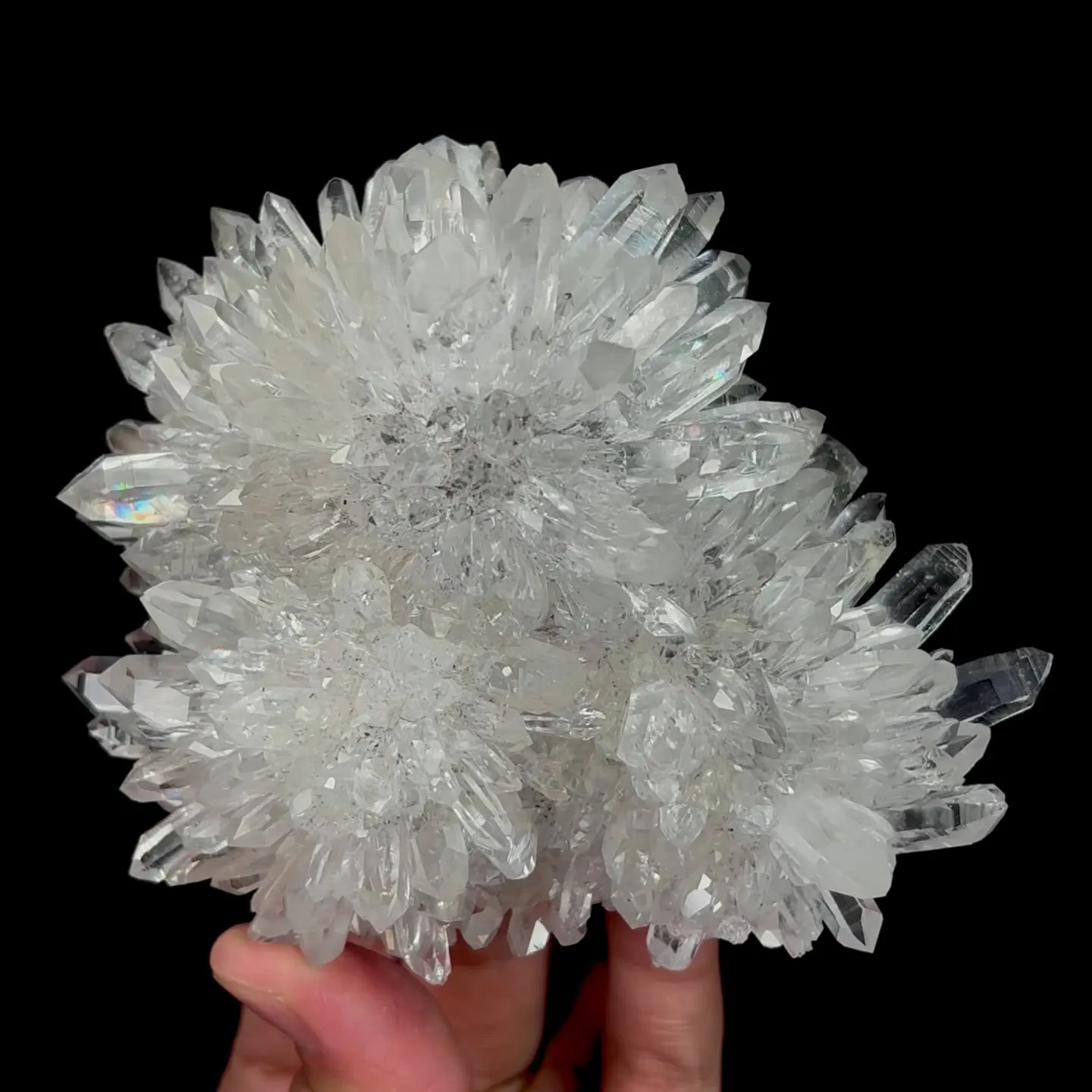 specimen video