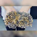 Natural Citrine Cluster from Golden Dragon,Guangdong  170*100*65MM - image 2