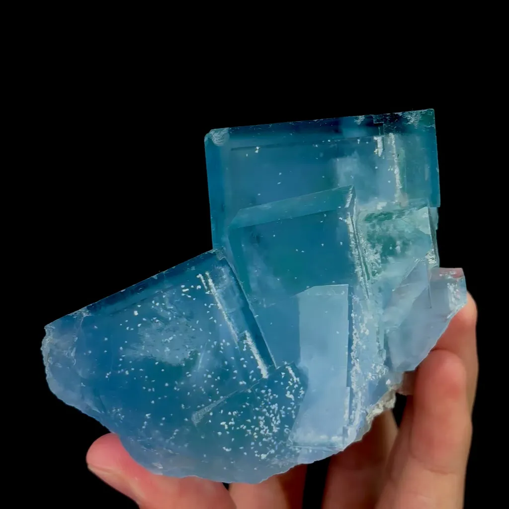 specimen video