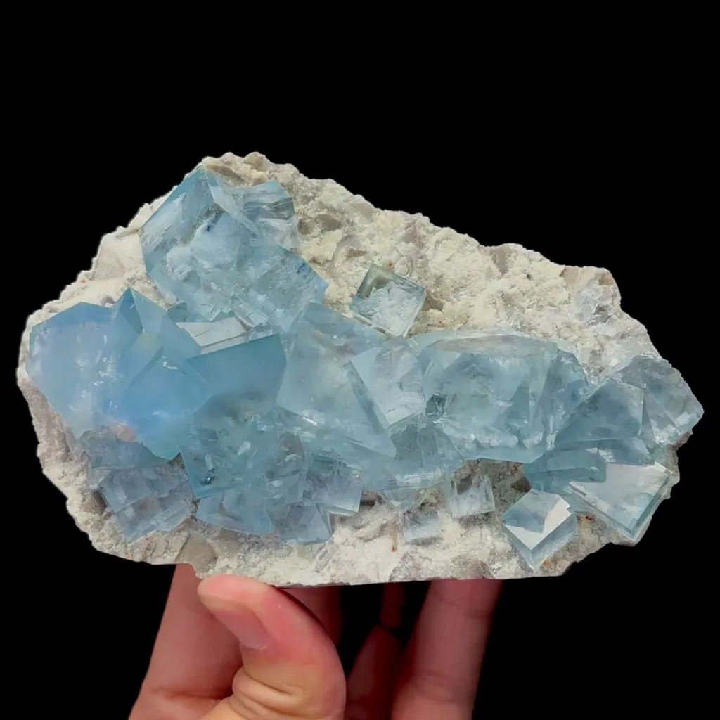 specimen video