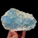 specimen video