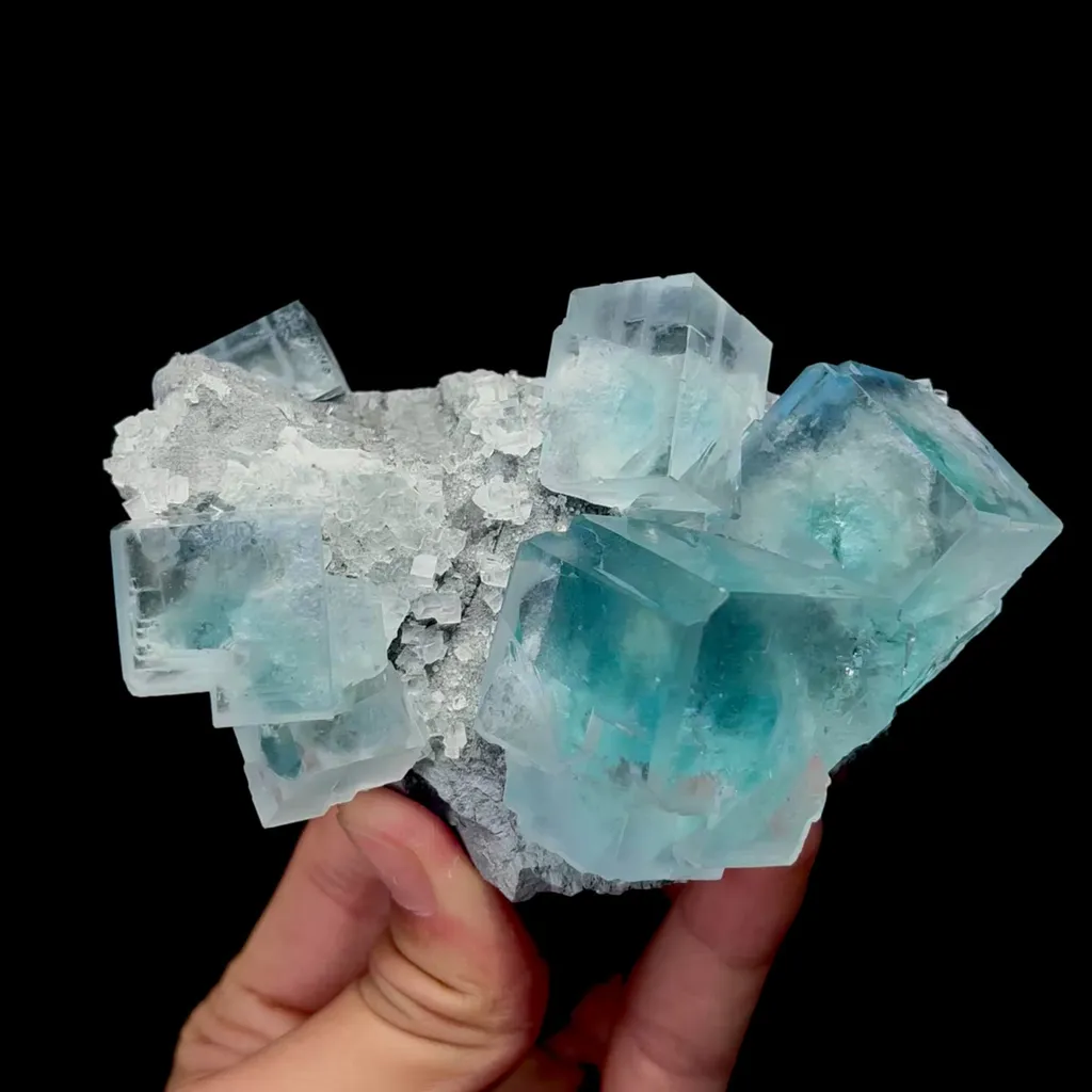 specimen video
