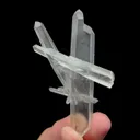 specimen video