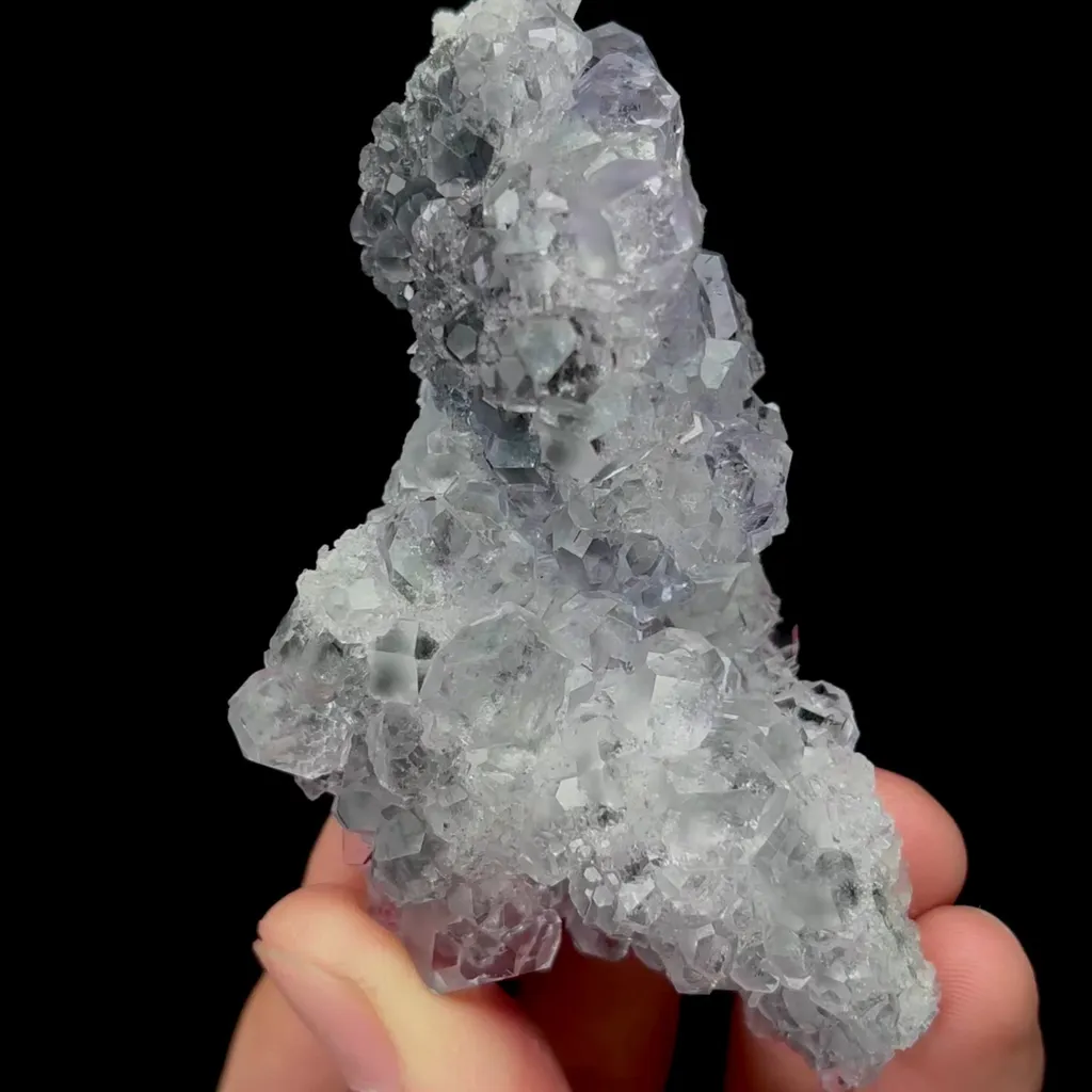 specimen video