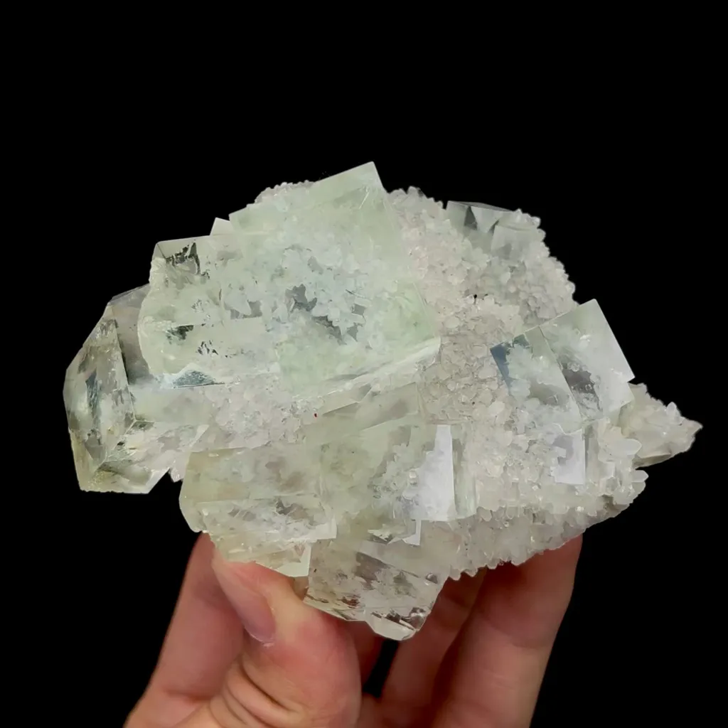 specimen video