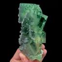 specimen video