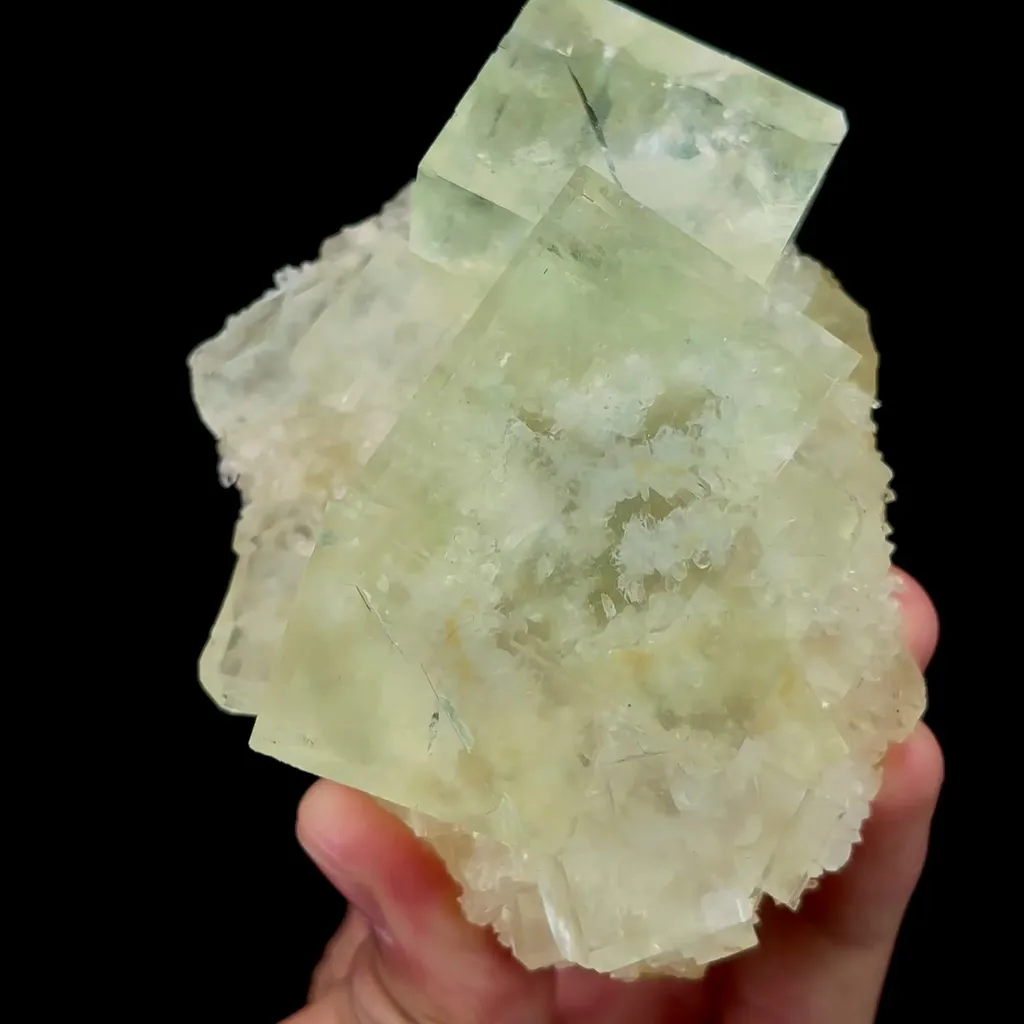 specimen video