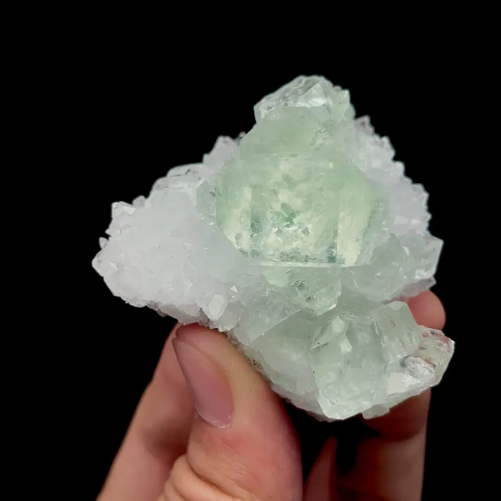 specimen video