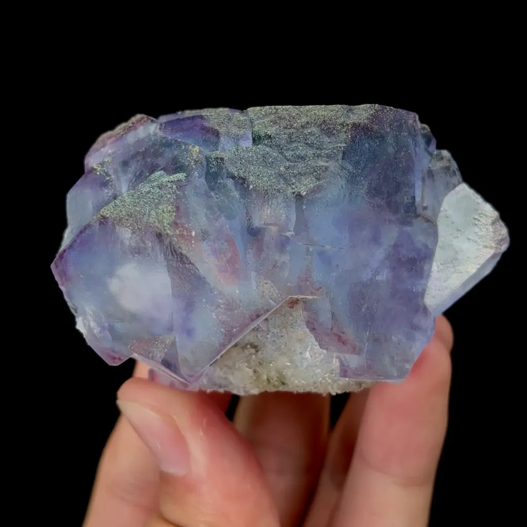 specimen video